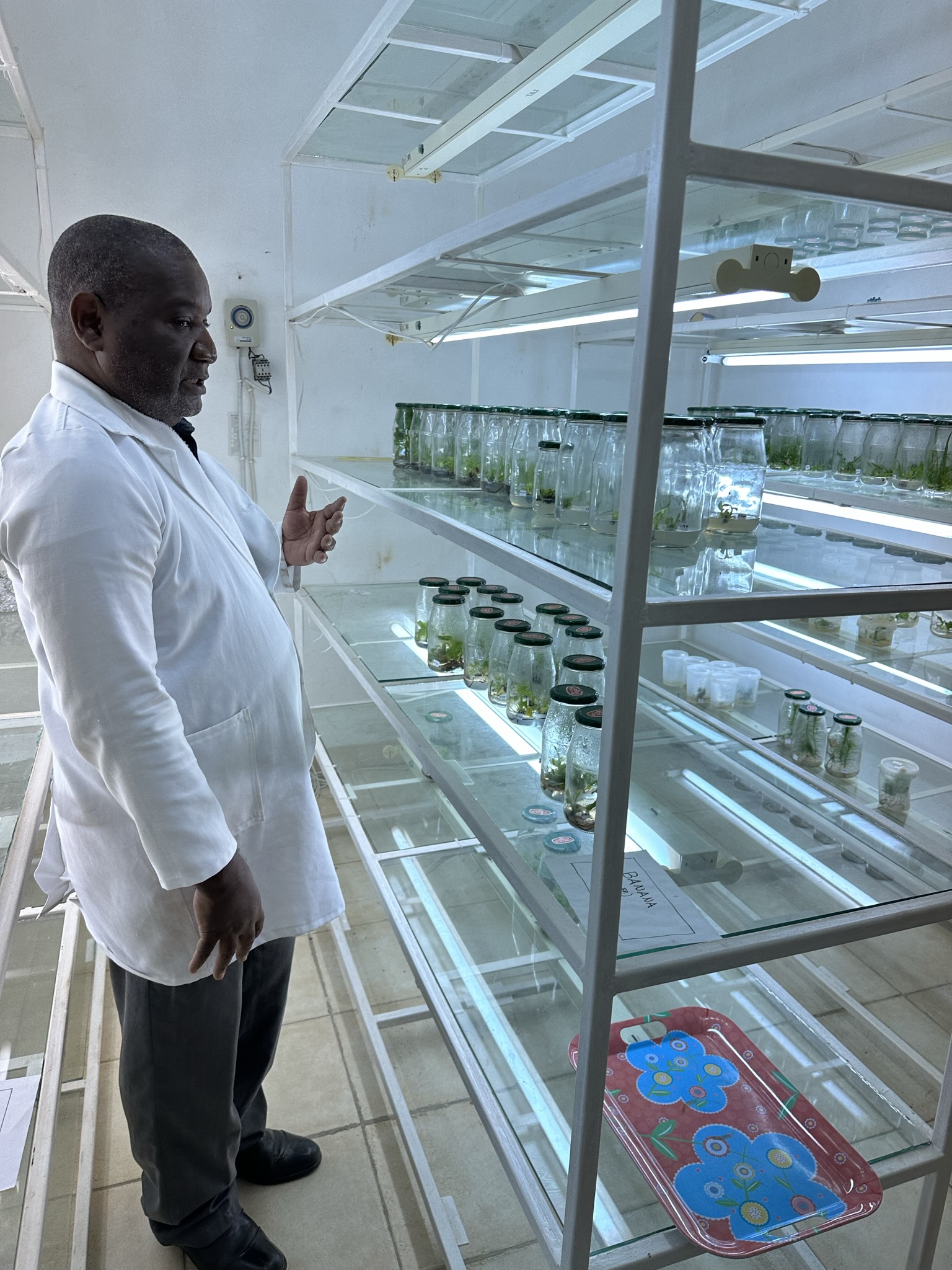 Laboratory Technician Paul Mumba tends to his collection of seedlings of rare and endangered orchids and hardwoods in the Plant Tissue Culture Laboratory at The Copperbelt University, Zambia